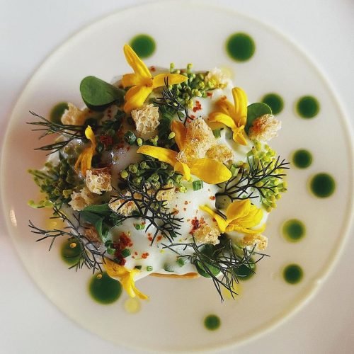 488866278 10057112720988446 3137888945528622457 N 500x500